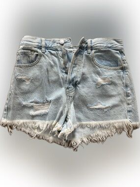PacSun Vintage High Rise Denim Shorts